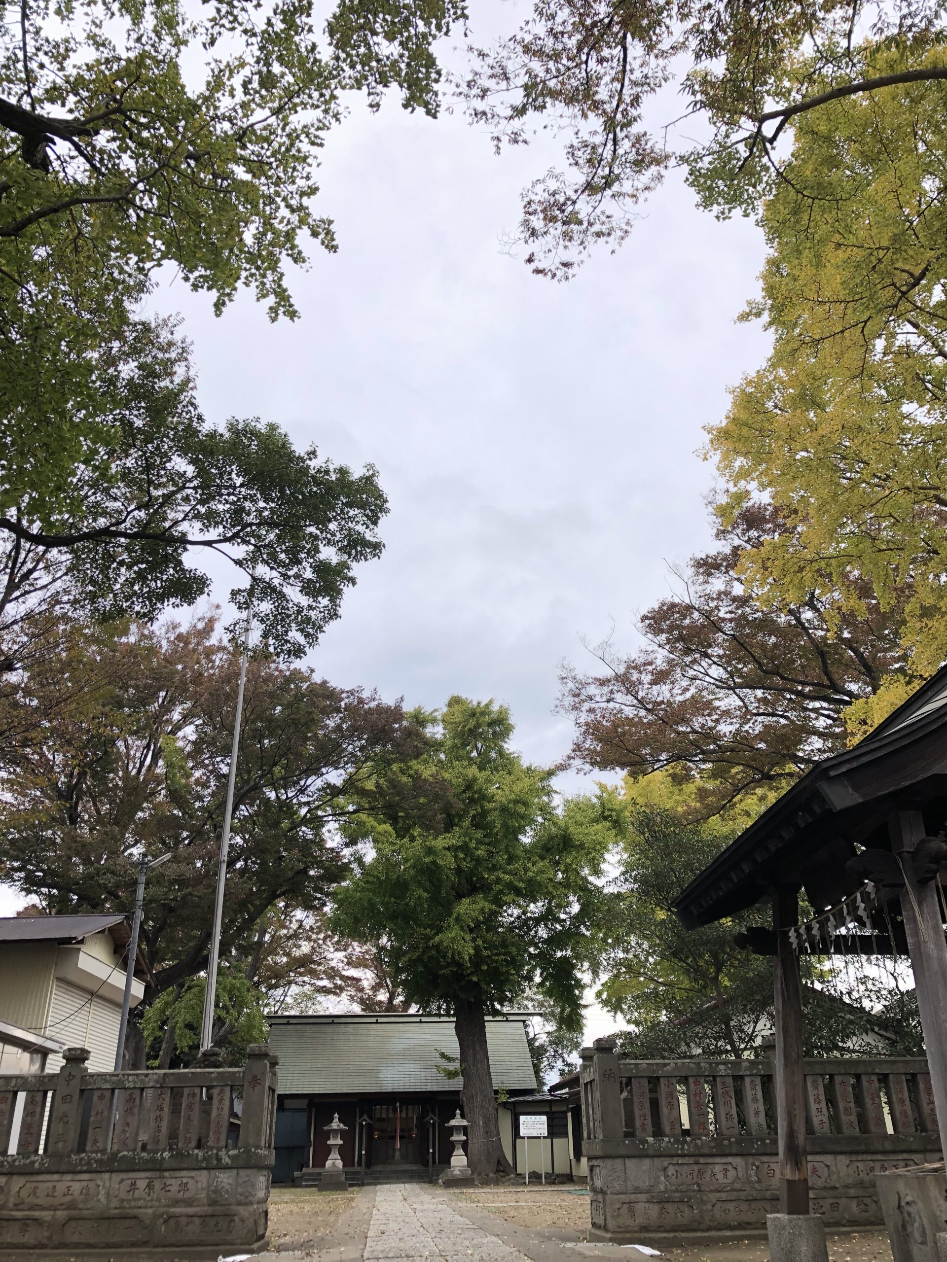 蘇我比咩神社ボランティアを募集します