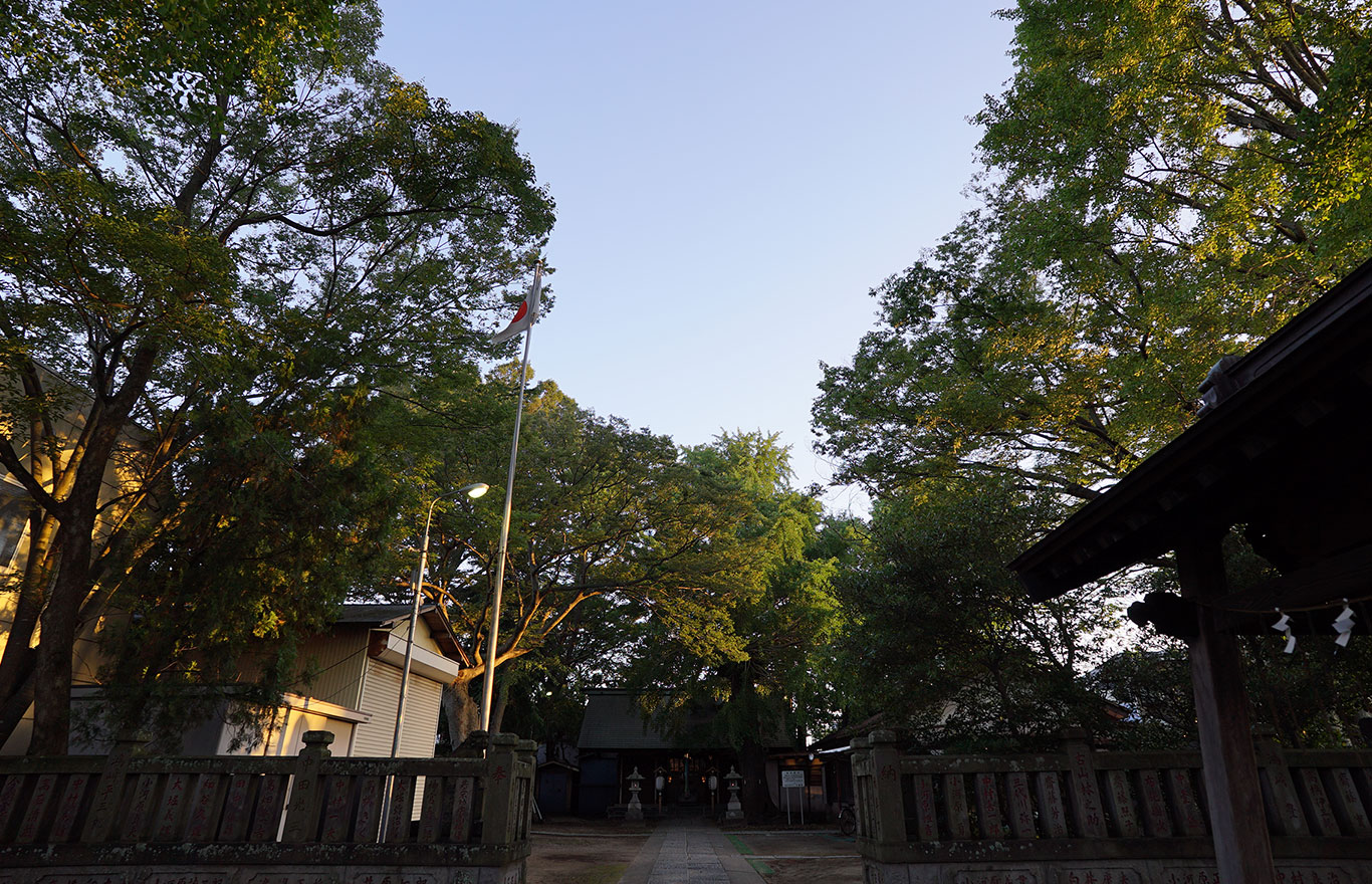 蘇我比咩神社